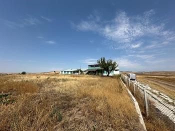 GÜVENAY - ÇORUM ANKARA YOLU ÜZERİ  SATILIK BÜYÜK BAŞ BESİ ÇİFTLİĞİ