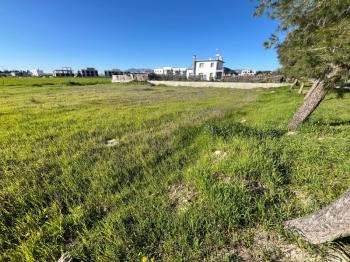 ALAYKÖY' ANA YOL ÖZERİ ARSA NİTELİKLİ SATILIK ARAZİ