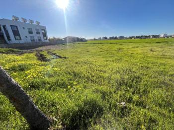 ALAYKÖY' ANA YOL ÖZERİ ARSA NİTELİKLİ SATILIK ARAZİ