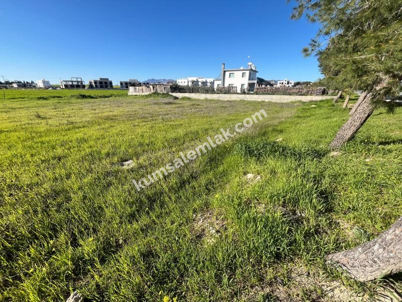 ALAYKÖY' ANA YOL ÖZERİ ARSA NİTELİKLİ SATILIK ARAZİ
