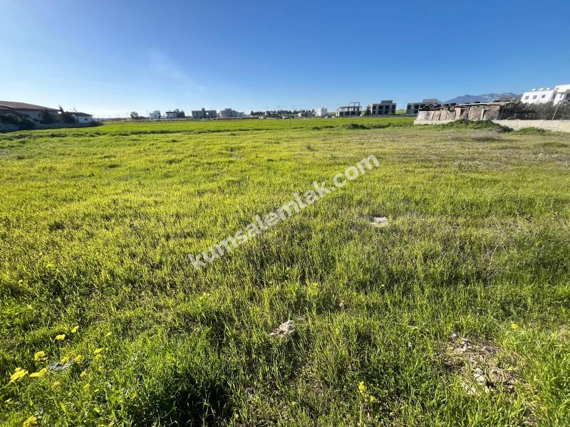 ALAYKÖY' ANA YOL ÖZERİ ARSA NİTELİKLİ SATILIK ARAZİ