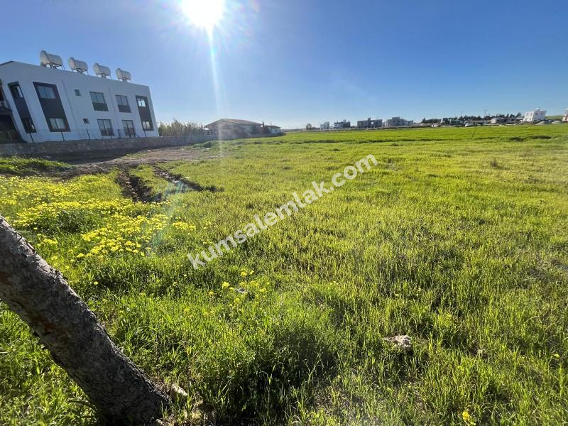 ALAYKÖY' ANA YOL ÖZERİ ARSA NİTELİKLİ SATILIK ARAZİ