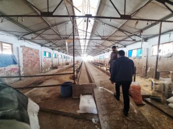 GÜVENAY - ÇORUM CEMİLBEY YOLU ESKİEKİN  KÖYÜ YOLU ÜZERİNDE SATILIK ÇİFTLİK 