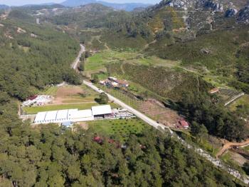 Asparan Mevkii Karayolu Üzeri 10.260 m2 Kiracılı Ticari Arazi