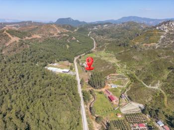 Asparan Mevkii Karayolu Üzeri 10.260 m2 Kiracılı Ticari Arazi