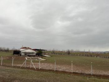 Çorum Alaca’da Ruhsatlı Eksiksiz Hazır Besi Çiftliği