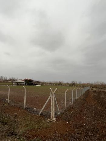 Çorum Alaca’da Ruhsatlı Eksiksiz Hazır Besi Çiftliği