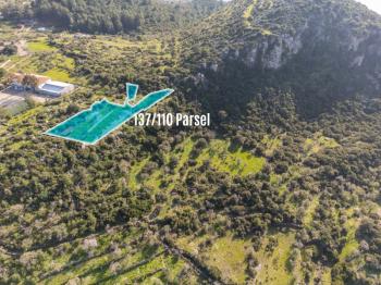 Söğüt Cumhuriyet Yolu Üzerinde 2.244 m² Müstakil Tapulu Yatırım