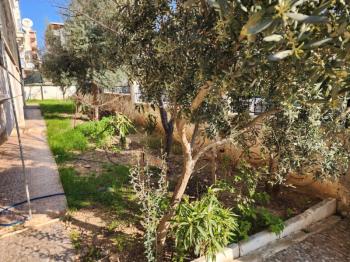 DİDİM EFELER MAHALLESİ’ NDE ÇARŞI MERKEZE YAKIN YÜKSEK GİRİŞ KAT 3+1 AYRI MUTFAK SATILIK DAİRE