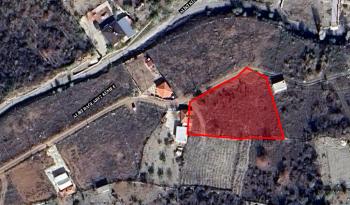 GÜVENAY - ÇORUM ESKİEKİN KÖYÜ 1738 M2 SATILIK BAĞ