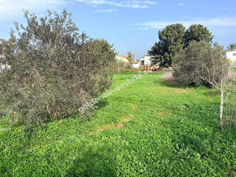 İSKELE ÇAYIROVA KÖYÜNDE SATILIK MÜSTAKİL YER EVİ