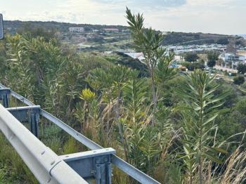 İSKELE KAPLICA'DA SATILIK ARSA 