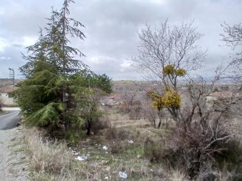 GÜVENAY - ÇORUM  BAHÇELİEVLER MAH. İÇERİDERE BAĞLARI 2250 M2 SATILIK BAĞ