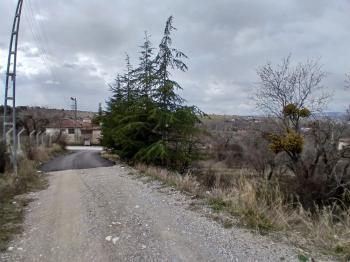 GÜVENAY - ÇORUM  BAHÇELİEVLER MAH. İÇERİDERE BAĞLARI 2250 M2 SATILIK BAĞ