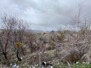 GÜVENAY - ÇORUM  BAHÇELİEVLER MAH. İÇERİDERE BAĞLARI 2250 M2 SATILIK BAĞ