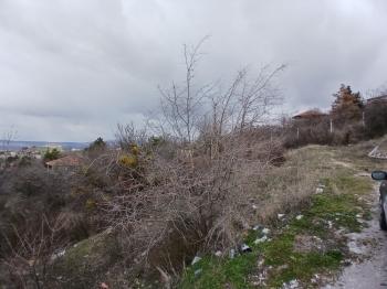 GÜVENAY - ÇORUM  BAHÇELİEVLER MAH. İÇERİDERE BAĞLARI 2250 M2 SATILIK BAĞ