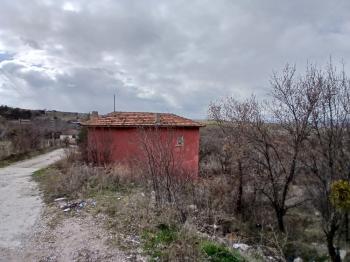 GÜVENAY - ÇORUM  BAHÇELİEVLER MAH. İÇERİDERE BAĞLARI 2250 M2 SATILIK BAĞ