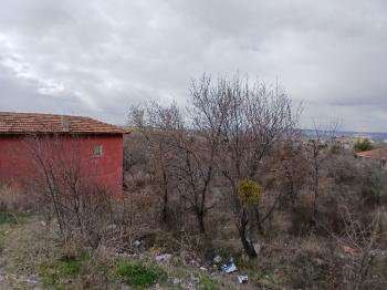 GÜVENAY - ÇORUM  BAHÇELİEVLER MAH. İÇERİDERE BAĞLARI 2250 M2 SATILIK BAĞ