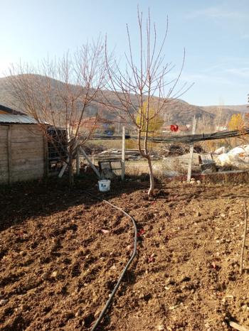 GÜVENAY - ÇORUM İSKİLİP YOLU ÜZERİ SATILIK HOBİ BAHÇESİ