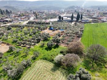 Didim Akyeniköy Merkezde imar Planı İçerisinde Satılık 1137M2