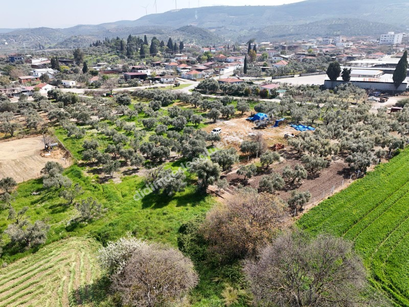 Didim Akyeniköy Merkezde imar Planı İçerisinde Satılık 1137M2