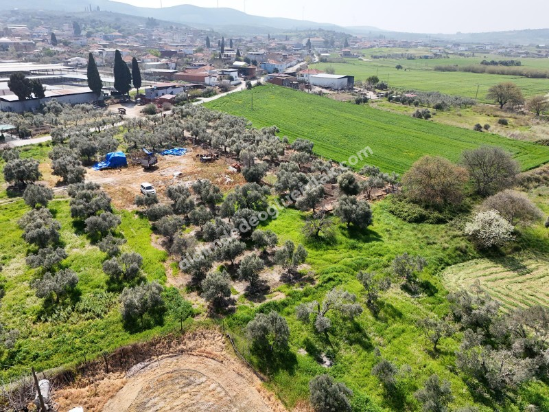 Didim Akyeniköy Merkezde imar Planı İçerisinde Satılık 1137M2