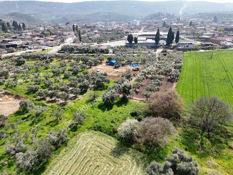 Didim Akyeniköy Merkezde imar Planı İçerisinde Satılık 1137M2