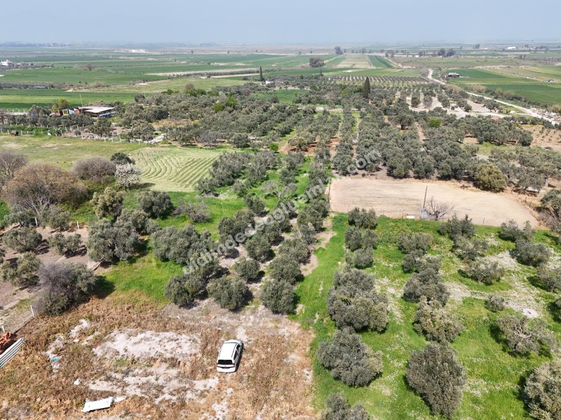 Didim Akyeniköy Merkezde imar Planı İçerisinde Satılık 1137M2