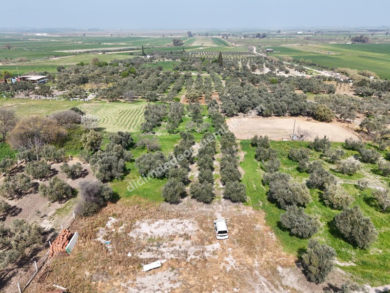Didim Akyeniköy Merkezde imar Planı İçerisinde Satılık 1137M2