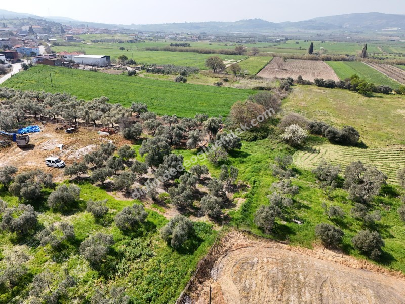Didim Akyeniköy Merkezde imar Planı İçerisinde Satılık 1137M2