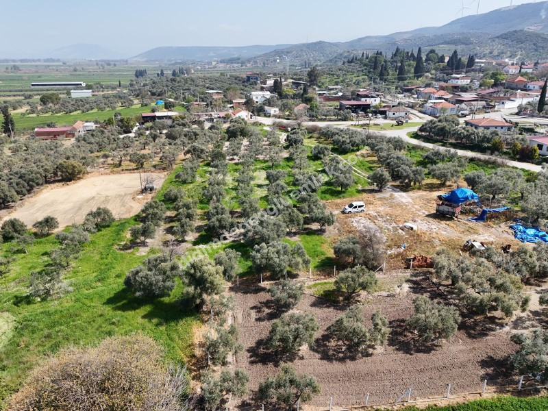 Didim Akyeniköy Merkezde imar Planı İçerisinde Satılık 1137M2
