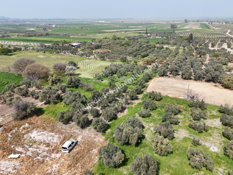Didim Akyeniköy Merkezde imar Planı İçerisinde Satılık 1137M2