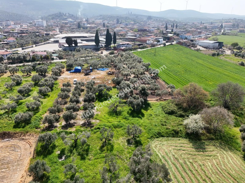 Didim Akyeniköy Merkezde imar Planı İçerisinde Satılık 1137M2