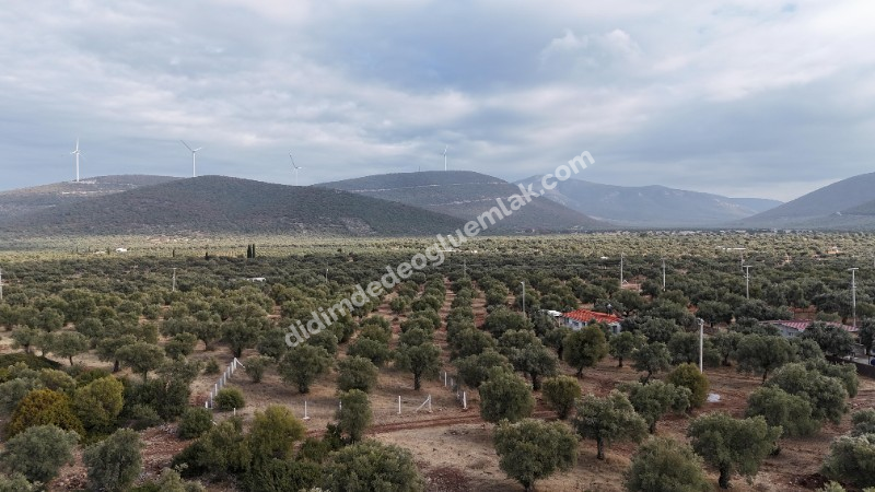 DİDİM KARDELENDE SATILIK YATIRIMLIK UYGUN  İMARLI ARSA