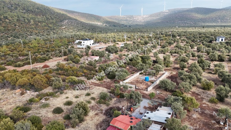 DİDİM KARDELENDE SATILIK YATIRIMLIK UYGUN  İMARLI ARSA
