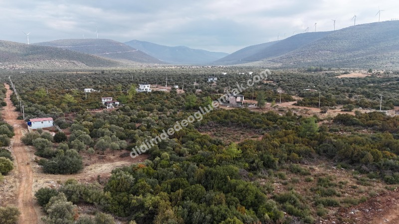DİDİM KARDELENDE SATILIK YATIRIMLIK UYGUN  İMARLI ARSA