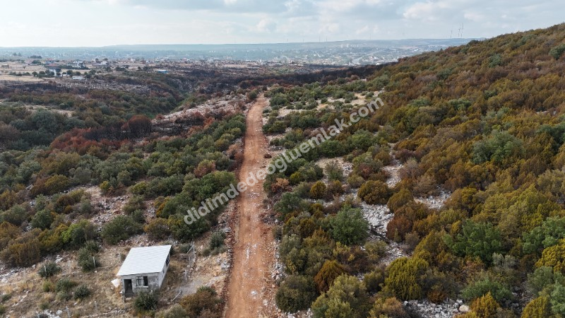 DİDİM KARDELENDE SATILIK YATIRIMLIK UYGUN  İMARLI ARSA