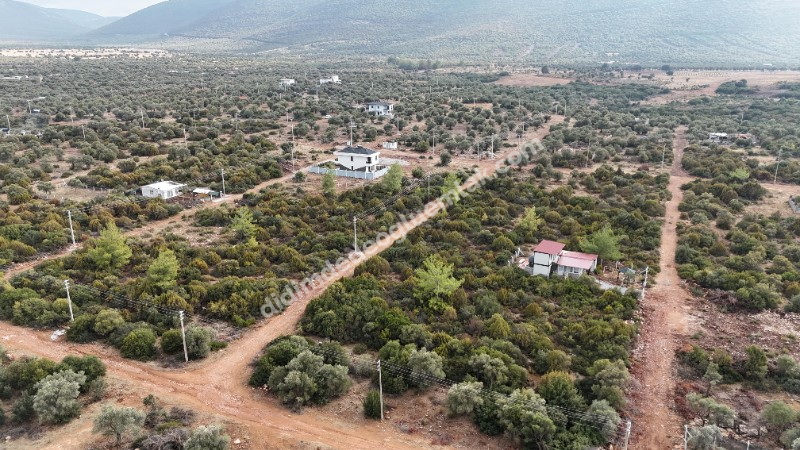 DİDİM KARDELENDE SATILIK YATIRIMLIK UYGUN  İMARLI ARSA