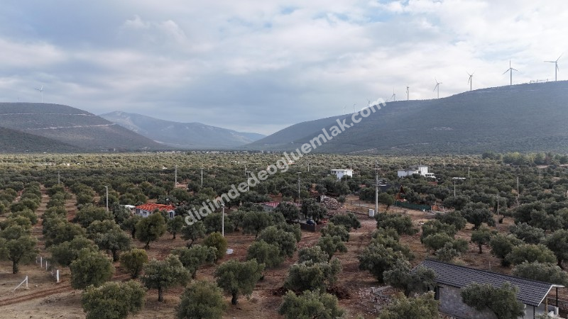 DİDİM KARDELENDE SATILIK YATIRIMLIK UYGUN  İMARLI ARSA