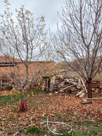 GÜVENAY - ÇORUM OSMANCIK YOLU PINARCIK KÖYÜ MEVKİ HOBİ BAHÇESİ
