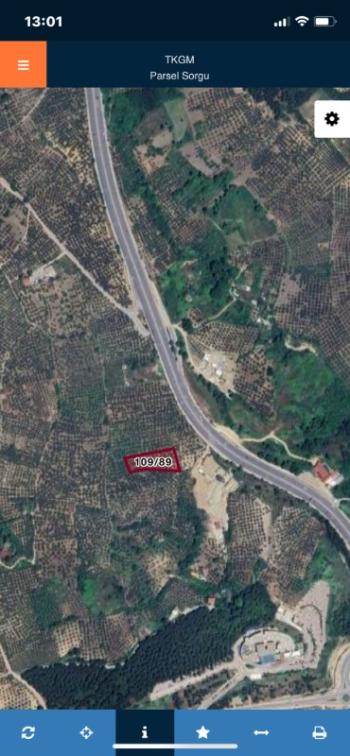 Mudanyada Anayola Yakın Zeytinlik
