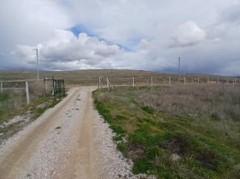 GÜVENAY - ÇORUM PAŞAKÖY CİVARI SATILIK HOBİ BAHÇELERİ