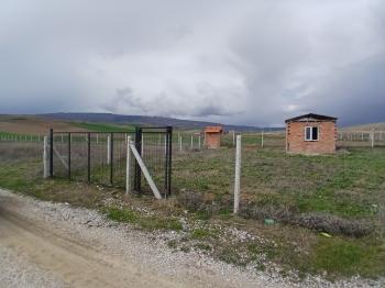 GÜVENAY - ÇORUM PAŞAKÖY CİVARI SATILIK HOBİ BAHÇELERİ