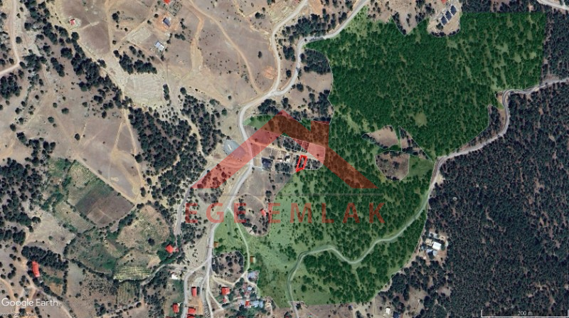 Orman Komşusu Satılık Arsa – Yayla Evi & Yatırım İçin Eşsiz Fırsat