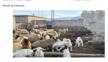 KONYA KARAPINAR MÜSTAKİL EV MÜSTAKİL EV TAPU SAHİBİ PERTA EMLAK ÜMİT TAHMAZ