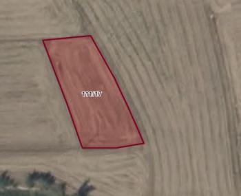 ÇORUM MERKEZ BOĞABAĞI KÖYÜ 1562 M2 SATILIK TARLA