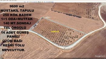 SALKIMBAĞI KÖYÜNDE SATILIK 9600 m² MÜSTAKİL TEK TAPULU TARLA