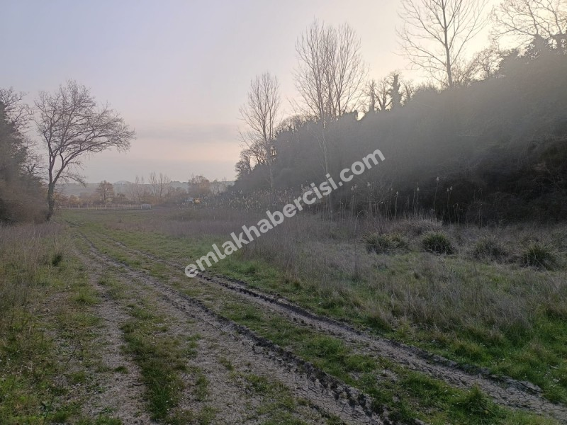 MUDANYA, HANÇERLİ TAPULU, TEKNOSABA YAKIN, ASFALT YOLA CEPHE YATIRIMLIK SATILIK 1.500 M2 MÜSTAKİL ARAZİ