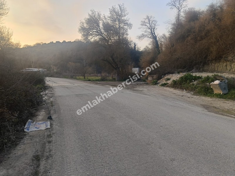 MUDANYA, HANÇERLİ TAPULU, TEKNOSABA YAKIN, ASFALT YOLA CEPHE YATIRIMLIK SATILIK 1.500 M2 MÜSTAKİL ARAZİ