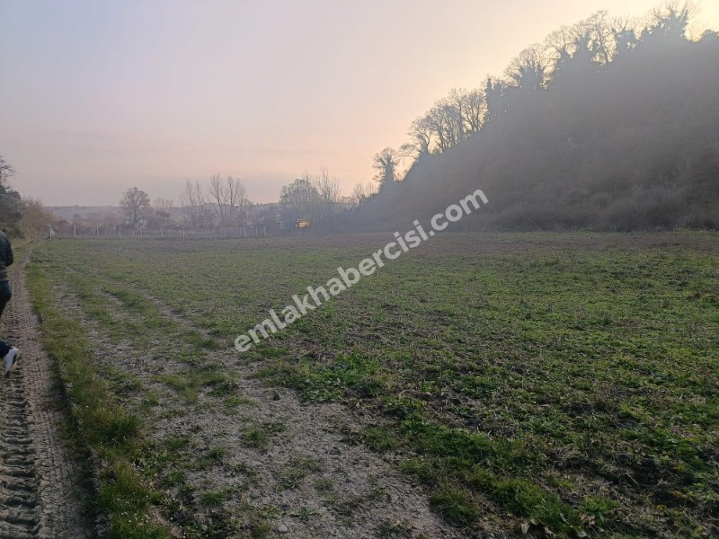 MUDANYA, HANÇERLİ TAPULU, TEKNOSABA YAKIN, ASFALT YOLA CEPHE YATIRIMLIK SATILIK 1.500 M2 MÜSTAKİL ARAZİ